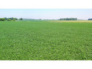 Whitley County, Indiana Farmland - LAND AUCTION - 188+/- ACRES OFFERED IN 9 TRACTS, COMBINATIONS OR AS A WHOLE IN WHITLEY COUNTY, INDIANA