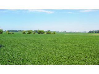 Whitley County, Indiana Farmland - LAND AUCTION - 188+/- ACRES OFFERED IN 9 TRACTS, COMBINATIONS OR AS A WHOLE IN WHITLEY COUNTY, INDIANA