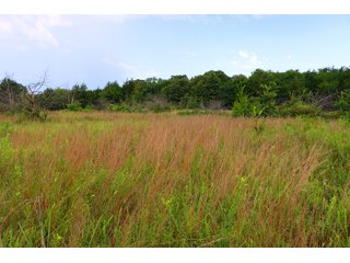 Tract 1 - LAND AUCTION - 1,006+/- ACRES OFFERED IN 27 TRACTS IN PONTOTOC & SEMINOLE COUNTIES, OKLAHOMA