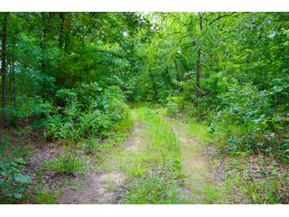 Tract 11 - LAND AUCTION - 1,006+/- ACRES OFFERED IN 27 TRACTS IN PONTOTOC & SEMINOLE COUNTIES, OKLAHOMA