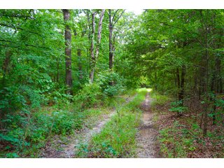 Tract 11 - LAND AUCTION - 1,006+/- ACRES OFFERED IN 27 TRACTS IN PONTOTOC & SEMINOLE COUNTIES, OKLAHOMA