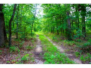 Tract 11 - LAND AUCTION - 1,006+/- ACRES OFFERED IN 27 TRACTS IN PONTOTOC & SEMINOLE COUNTIES, OKLAHOMA