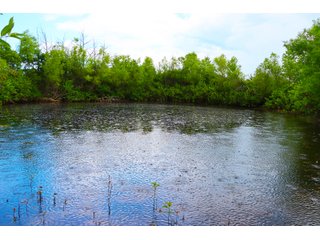 Tract 1 - LAND AUCTION - 1,006+/- ACRES OFFERED IN 27 TRACTS IN PONTOTOC & SEMINOLE COUNTIES, OKLAHOMA