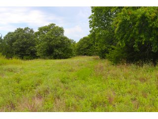 Tract 12 - LAND AUCTION - 1,006+/- ACRES OFFERED IN 27 TRACTS IN PONTOTOC & SEMINOLE COUNTIES, OKLAHOMA