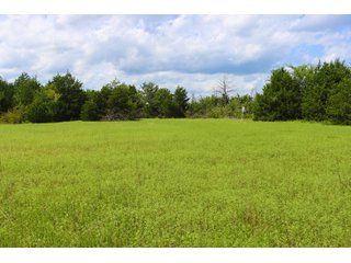Tract 12 - LAND AUCTION - 1,006+/- ACRES OFFERED IN 27 TRACTS IN PONTOTOC & SEMINOLE COUNTIES, OKLAHOMA