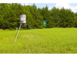 Tract 12 - LAND AUCTION - 1,006+/- ACRES OFFERED IN 27 TRACTS IN PONTOTOC & SEMINOLE COUNTIES, OKLAHOMA