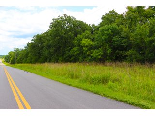 Tract 13 & 14 - LAND AUCTION - 1,006+/- ACRES OFFERED IN 27 TRACTS IN PONTOTOC & SEMINOLE COUNTIES, OKLAHOMA