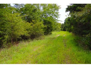 Tract 15 - LAND AUCTION - 1,006+/- ACRES OFFERED IN 27 TRACTS IN PONTOTOC & SEMINOLE COUNTIES, OKLAHOMA