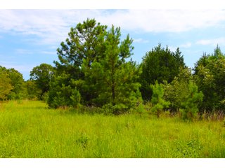 Tract 15 - LAND AUCTION - 1,006+/- ACRES OFFERED IN 27 TRACTS IN PONTOTOC & SEMINOLE COUNTIES, OKLAHOMA