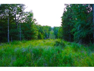 Tract 16 - LAND AUCTION - 1,006+/- ACRES OFFERED IN 27 TRACTS IN PONTOTOC & SEMINOLE COUNTIES, OKLAHOMA
