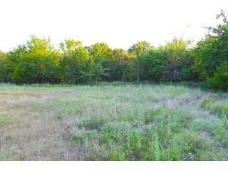 Tract 17 - LAND AUCTION - 1,006+/- ACRES OFFERED IN 27 TRACTS IN PONTOTOC & SEMINOLE COUNTIES, OKLAHOMA