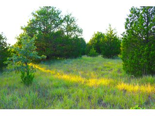Tract 17 - LAND AUCTION - 1,006+/- ACRES OFFERED IN 27 TRACTS IN PONTOTOC & SEMINOLE COUNTIES, OKLAHOMA
