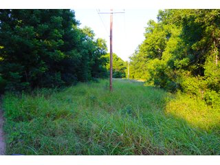 Tract 19 - LAND AUCTION - 1,006+/- ACRES OFFERED IN 27 TRACTS IN PONTOTOC & SEMINOLE COUNTIES, OKLAHOMA