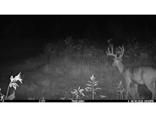 Tract 19 - LAND AUCTION - 1,006+/- ACRES OFFERED IN 27 TRACTS IN PONTOTOC & SEMINOLE COUNTIES, OKLAHOMA