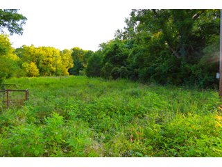 Tract 19 - LAND AUCTION - 1,006+/- ACRES OFFERED IN 27 TRACTS IN PONTOTOC & SEMINOLE COUNTIES, OKLAHOMA