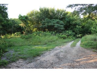 Tract 19 - LAND AUCTION - 1,006+/- ACRES OFFERED IN 27 TRACTS IN PONTOTOC & SEMINOLE COUNTIES, OKLAHOMA
