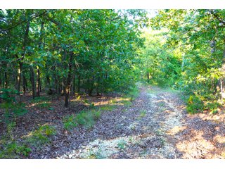 Tract 20 - LAND AUCTION - 1,006+/- ACRES OFFERED IN 27 TRACTS IN PONTOTOC & SEMINOLE COUNTIES, OKLAHOMA