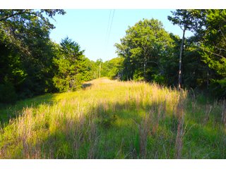 Tract 20 - LAND AUCTION - 1,006+/- ACRES OFFERED IN 27 TRACTS IN PONTOTOC & SEMINOLE COUNTIES, OKLAHOMA