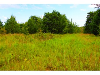 Tract 2 - LAND AUCTION - 1,006+/- ACRES OFFERED IN 27 TRACTS IN PONTOTOC & SEMINOLE COUNTIES, OKLAHOMA