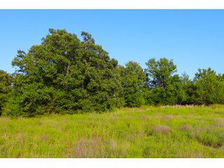 Tract 21 - LAND AUCTION - 1,006+/- ACRES OFFERED IN 27 TRACTS IN PONTOTOC & SEMINOLE COUNTIES, OKLAHOMA