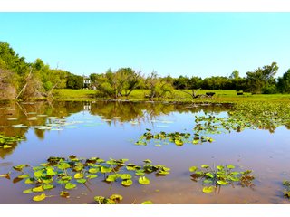 Tract 22 - LAND AUCTION - 1,006+/- ACRES OFFERED IN 27 TRACTS IN PONTOTOC & SEMINOLE COUNTIES, OKLAHOMA