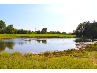 Tract 22 - LAND AUCTION - 1,006+/- ACRES OFFERED IN 27 TRACTS IN PONTOTOC & SEMINOLE COUNTIES, OKLAHOMA