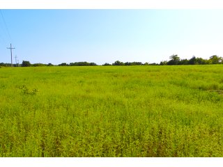 Tract 23 - LAND AUCTION - 1,006+/- ACRES OFFERED IN 27 TRACTS IN PONTOTOC & SEMINOLE COUNTIES, OKLAHOMA