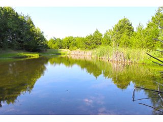 Tract 23 - LAND AUCTION - 1,006+/- ACRES OFFERED IN 27 TRACTS IN PONTOTOC & SEMINOLE COUNTIES, OKLAHOMA