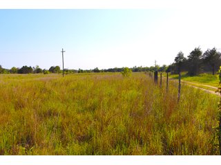 Tract 24 - LAND AUCTION - 1,006+/- ACRES OFFERED IN 27 TRACTS IN PONTOTOC & SEMINOLE COUNTIES, OKLAHOMA