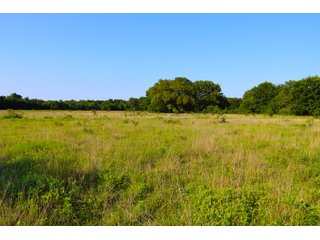 Tract 24 - LAND AUCTION - 1,006+/- ACRES OFFERED IN 27 TRACTS IN PONTOTOC & SEMINOLE COUNTIES, OKLAHOMA