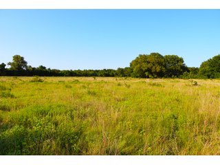 Tract 24 - LAND AUCTION - 1,006+/- ACRES OFFERED IN 27 TRACTS IN PONTOTOC & SEMINOLE COUNTIES, OKLAHOMA