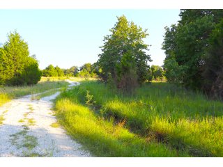 Tract 24 - LAND AUCTION - 1,006+/- ACRES OFFERED IN 27 TRACTS IN PONTOTOC & SEMINOLE COUNTIES, OKLAHOMA