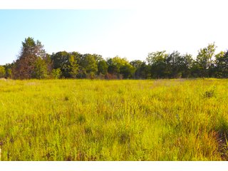 Tract 24 - LAND AUCTION - 1,006+/- ACRES OFFERED IN 27 TRACTS IN PONTOTOC & SEMINOLE COUNTIES, OKLAHOMA