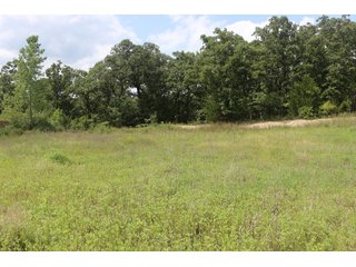 Tract 7 - LAND AUCTION - 1,006+/- ACRES OFFERED IN 27 TRACTS IN PONTOTOC & SEMINOLE COUNTIES, OKLAHOMA