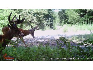 Tract 8 - LAND AUCTION - 1,006+/- ACRES OFFERED IN 27 TRACTS IN PONTOTOC & SEMINOLE COUNTIES, OKLAHOMA