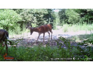 Tract 8 - LAND AUCTION - 1,006+/- ACRES OFFERED IN 27 TRACTS IN PONTOTOC & SEMINOLE COUNTIES, OKLAHOMA