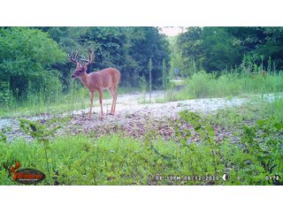 Tract 8 - LAND AUCTION - 1,006+/- ACRES OFFERED IN 27 TRACTS IN PONTOTOC & SEMINOLE COUNTIES, OKLAHOMA