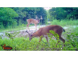 Tract 8 - LAND AUCTION - 1,006+/- ACRES OFFERED IN 27 TRACTS IN PONTOTOC & SEMINOLE COUNTIES, OKLAHOMA