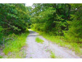 Tract 9 - LAND AUCTION - 1,006+/- ACRES OFFERED IN 27 TRACTS IN PONTOTOC & SEMINOLE COUNTIES, OKLAHOMA
