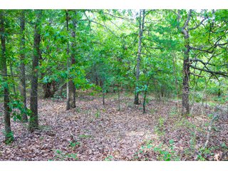 Tract 9 - LAND AUCTION - 1,006+/- ACRES OFFERED IN 27 TRACTS IN PONTOTOC & SEMINOLE COUNTIES, OKLAHOMA