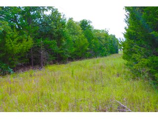 Tract 9 - LAND AUCTION - 1,006+/- ACRES OFFERED IN 27 TRACTS IN PONTOTOC & SEMINOLE COUNTIES, OKLAHOMA