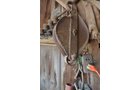 Property photo 44 - PERSONAL PROPERTY AUCTION IN ALLEN COUNTY, INDIANA