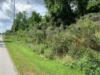 Tippecanoe County, Indiana - ONLINE ONLY AUCTION - 39.85+/- ACRE MOBILE HOME PARK OFFERED IN 1 TRACT IN TIPPECANOE COUNTY, INDIANA