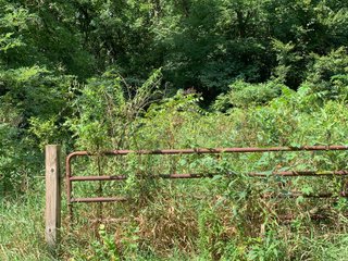 Tippecanoe County, Indiana - ONLINE ONLY AUCTION - 39.85+/- ACRE MOBILE HOME PARK OFFERED IN 1 TRACT IN TIPPECANOE COUNTY, INDIANA