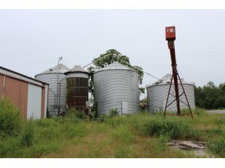 Gibson & Pike Counties, Indiana Farmland - LAND AUCTION - 207+/- ACRES OFFERED IN 9 TRACTS IN GIBSON & PIKE COUNTIES, INDIANA