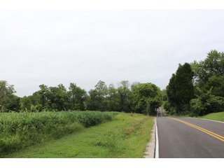 Gibson & Pike Counties, Indiana Farmland - LAND AUCTION - 207+/- ACRES OFFERED IN 9 TRACTS IN GIBSON & PIKE COUNTIES, INDIANA
