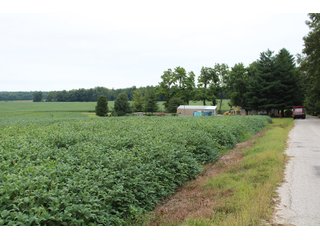 Gibson & Pike Counties, Indiana Farmland - LAND AUCTION - 207+/- ACRES OFFERED IN 9 TRACTS IN GIBSON & PIKE COUNTIES, INDIANA