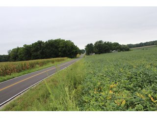 Gibson & Pike Counties, Indiana Farmland - LAND AUCTION - 207+/- ACRES OFFERED IN 9 TRACTS IN GIBSON & PIKE COUNTIES, INDIANA