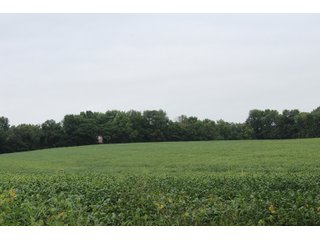 Gibson & Pike Counties, Indiana Farmland - LAND AUCTION - 207+/- ACRES OFFERED IN 9 TRACTS IN GIBSON & PIKE COUNTIES, INDIANA