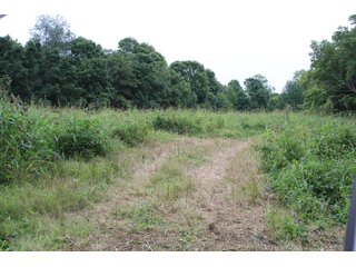 Gibson & Pike Counties, Indiana Farmland - LAND AUCTION - 207+/- ACRES OFFERED IN 9 TRACTS IN GIBSON & PIKE COUNTIES, INDIANA